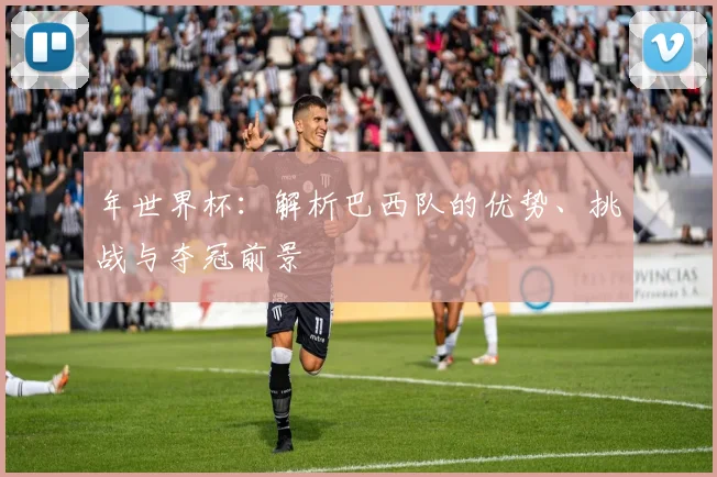 年世界杯：解析巴西队的优势、挑战与夺冠前景