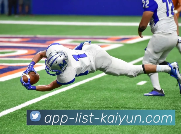 开云APP发展历程